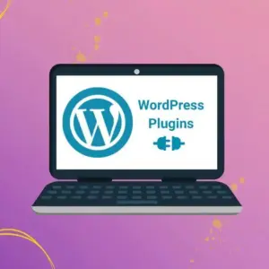 Basic WordPress Plugin Guide